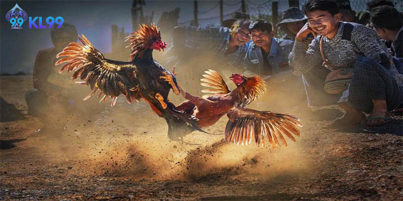 Kinh nghiệm tham gia chơi hay mà bạn cần nắm